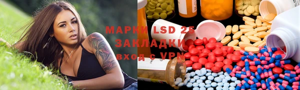 сатива Володарск