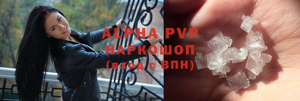 сатива Володарск
