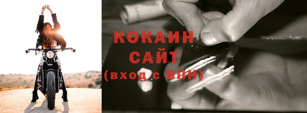 сатива Володарск