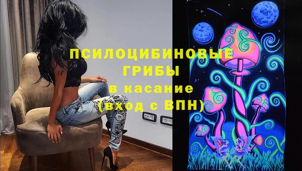 сатива Володарск