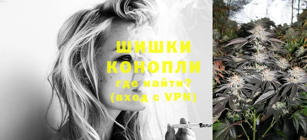 сатива Володарск